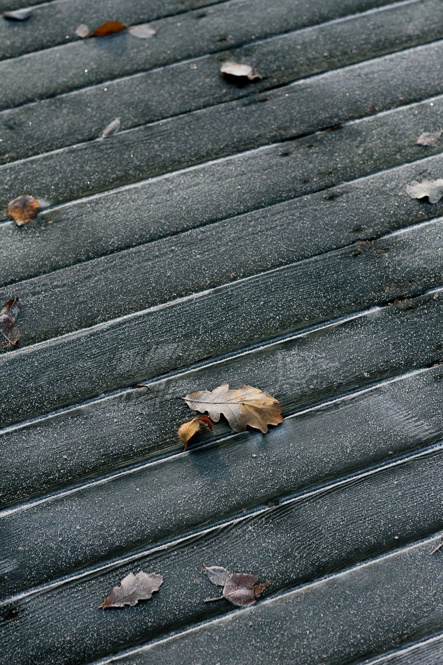 Gros plan sur une surface en bois couverte de givre et de glace, illustrant l'effet du cycle gel et dégel sur les lames d'une terrasse