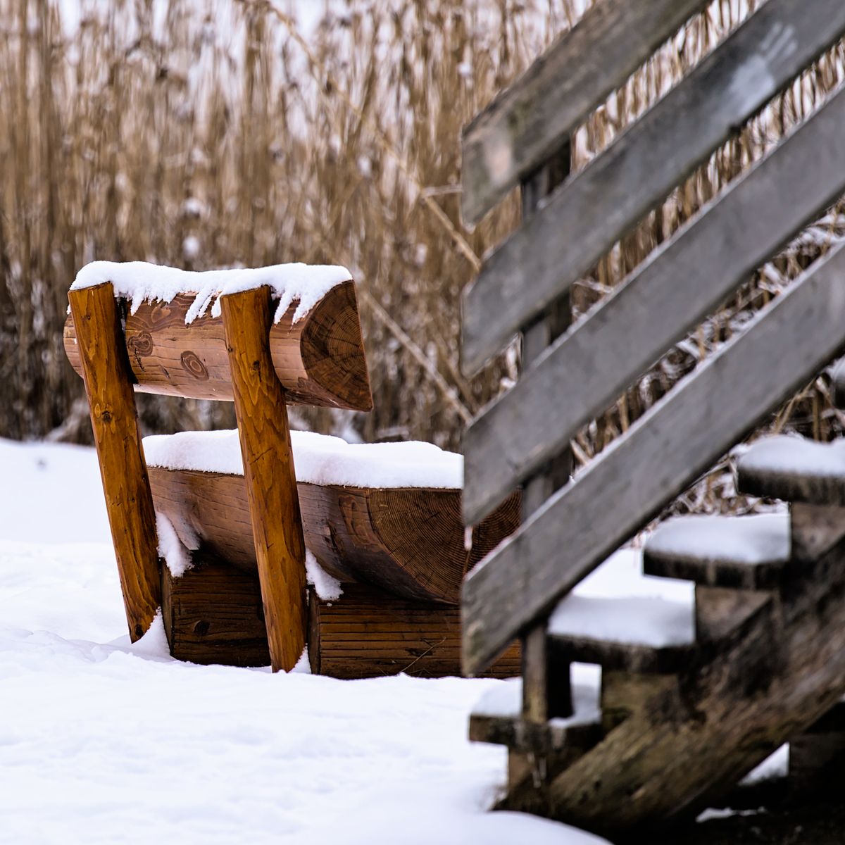 Banc en bois enneigé près d'un escalier rustique sous une scène hivernale