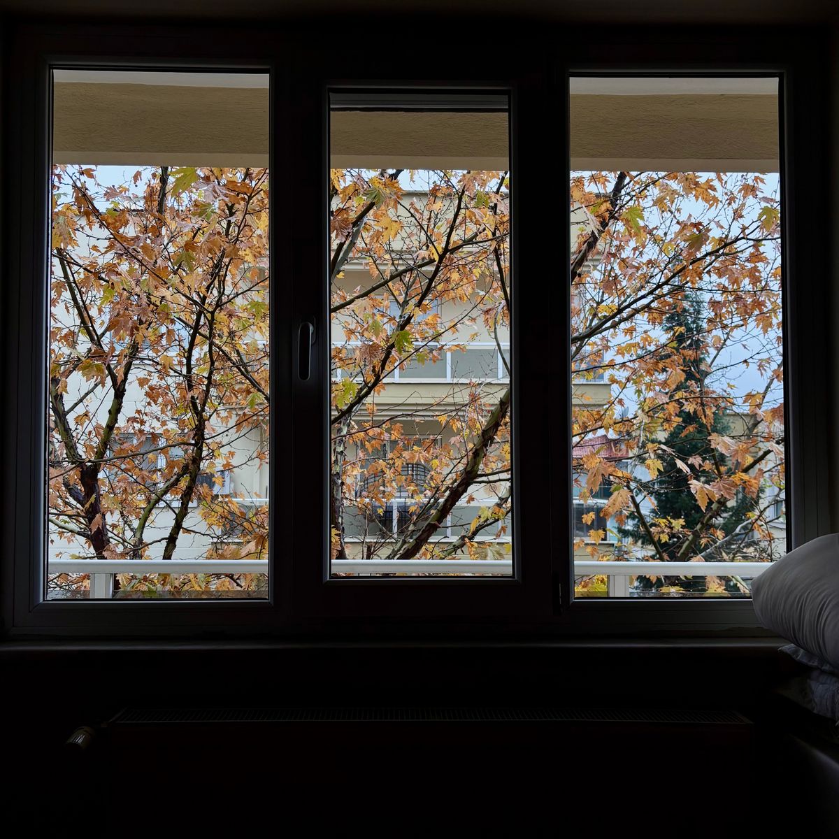 Vue d'un paysage d'automne à travers une fenêtre vitrée depuis un intérieur