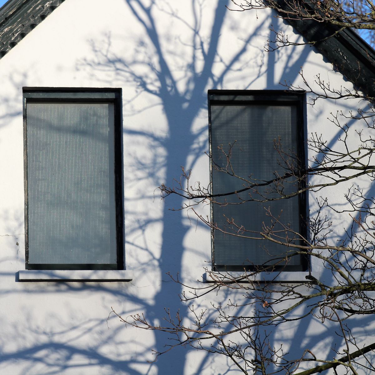 Façade d'architecture européenne en hiver avec arbres nus, illustrant l'orientation d'une habitation